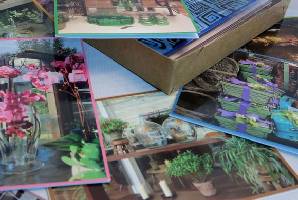 Vitrines 2